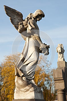 Graveyard angel