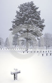 Graveyard cemetery cross tree in snow