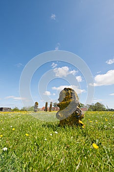 Graveyard at Dutch Terschelling photo