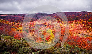 Graveyard Fields on the Blue Ridge Parkway in autumn