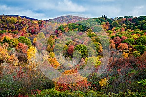 Graveyard Fields on the Blue Ridge Parkway in autumn
