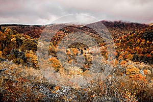Graveyard Fields on the Blue Ridge Parkway in autumn