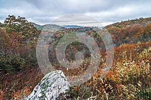 Graveyard fields overlook in the smoky mountains in north carolina
