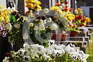 Graveyard Flowers