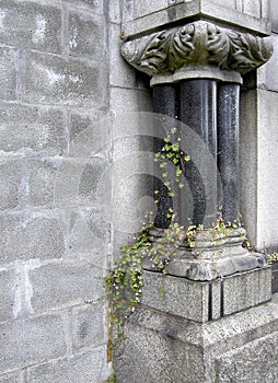 Graveyard Gothic