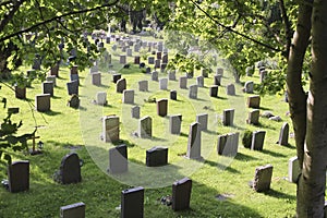 Graveyard with headstones