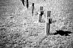 Graveyard Tombstones photo
