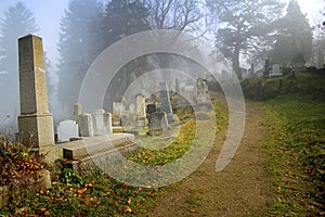 graveyard in transylvania