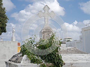 Graveyard Views around Otrobanda