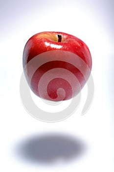 Gravitational force apple