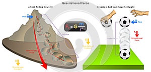 Gravitational Force Infographic Diagram with example photo