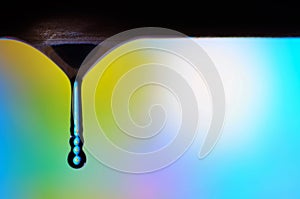 Gravity shapes the universe