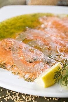 Gravlax - salmon