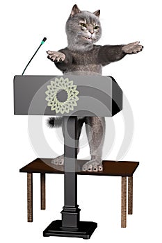 Cat speaking from tribune on white photo
