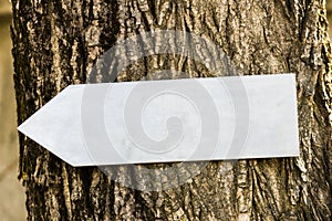 gray arrow on the trunk of a tree in nature. pointer in the park