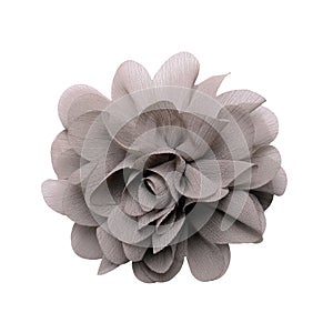 Gray artificial flower isolated on white