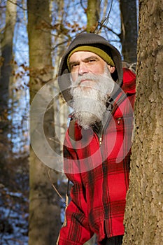A gray bearded lumberjack in the woods