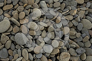 Gray and Beige Toned Rocks Cover The Beach In Olympic