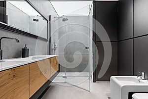 Gray and black bathroom