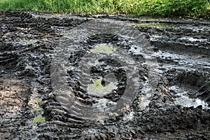 Gray black mud with puddles and potholes