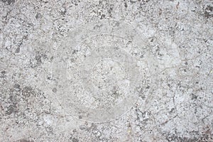 Gray blank textured plaster background