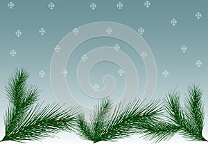 Gray-blue background with white snowflakes and Christmas pine br