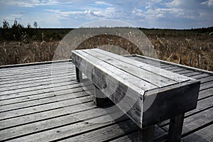 A gray boardwalk and a wooden bench among dry grass. Brokenhead Wetland Interpretive Trail