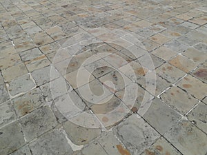 Gray brick pathway in a small park