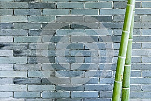 Gray brick wall and bamboo