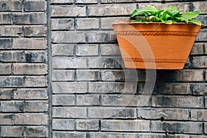 Gray brick wall and flowerpot at Chinese old street Hutong at Shichahai in Beijing, China