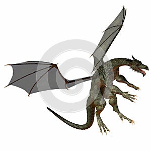 Gray Brown Dragon