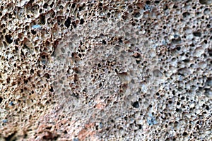 Gray-brown large-pore stone.