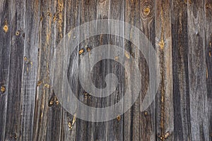 Gray brown wood texture of wet boards on the wall