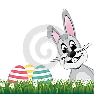 Gray bunny side colorful eggs daisy meadow isolated