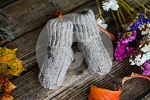 Gray cable knit baby socks on dark wooden background and dry autumn leaves