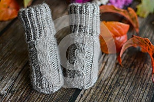 Gray cable knit baby socks on dark wooden background and dry autumn leaves