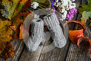 Gray cable knit baby socks on dark wooden background and dry autumn leaves