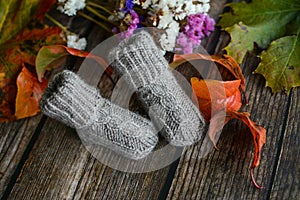 Gray cable knit baby socks on dark wooden background and dry autumn leaves