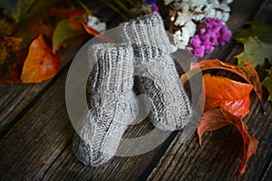 Gray cable knit baby socks on dark wooden background and dry autumn leaves