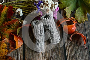 Gray cable knit baby socks on dark wooden background and dry autumn leaves