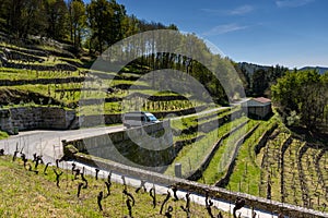 Gray camper van parked in the terraced vineyards of Galicia in the Ribeira Sacra Valley