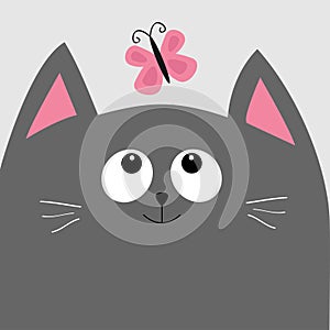 Gray cat head looking at butterfly insect. Cute cartoon character.