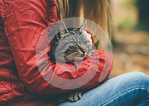 Gray Cat homeless and Woman hugging Outdoor