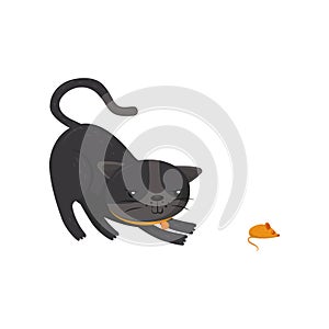 Gray cat hunting on mouse. Pet with shiny eyes and orange collar. Cartoon character of domestic animal. Flat vector for