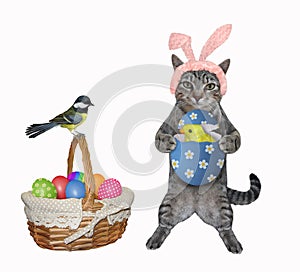 Cat gray stands with easter egg