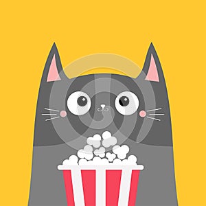 Gray cat popcorn box. Cute cartoon funny character. Kids print for tshirt notebook cover. Cinema theater. Film show. Kitten