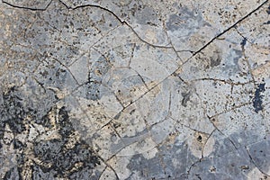 Gray cement concrete wall with cracks and mold texture background