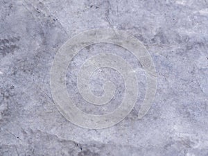 Gray cement floor 001