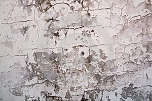 White cement wall with Mold texture background
