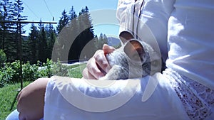 Gray chinchilla on a bench and teenage girl